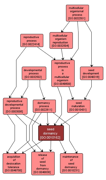 GO:0010162 - seed dormancy (interactive image map)