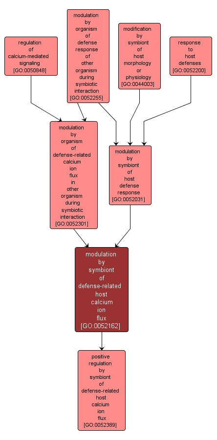 GO:0052162 - modulation by symbiont of defense-related host calcium ion flux (interactive image map)