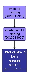 GO:0042163 - interleukin-12 beta subunit binding (interactive image map)