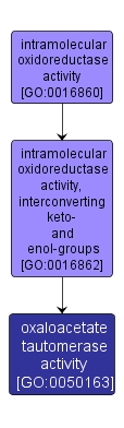 GO:0050163 - oxaloacetate tautomerase activity (interactive image map)