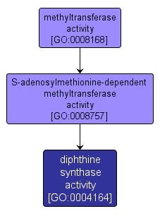 GO:0004164 - diphthine synthase activity (interactive image map)