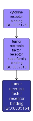 GO:0005164 - tumor necrosis factor receptor binding (interactive image map)