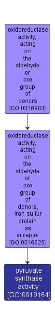 GO:0019164 - pyruvate synthase activity (interactive image map)