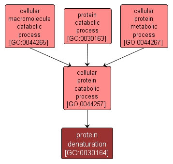 GO:0030164 - protein denaturation (interactive image map)
