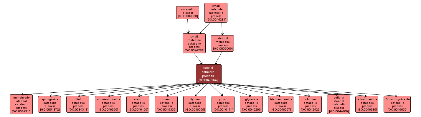 GO:0046164 - alcohol catabolic process (interactive image map)