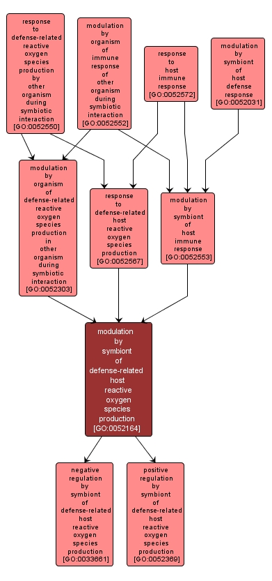GO:0052164 - modulation by symbiont of defense-related host reactive oxygen species production (interactive image map)