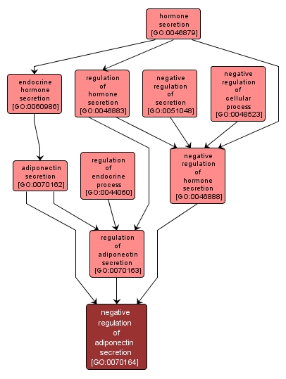 GO:0070164 - negative regulation of adiponectin secretion (interactive image map)