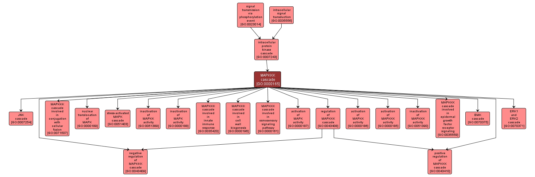 GO:0000165 - MAPKKK cascade (interactive image map)
