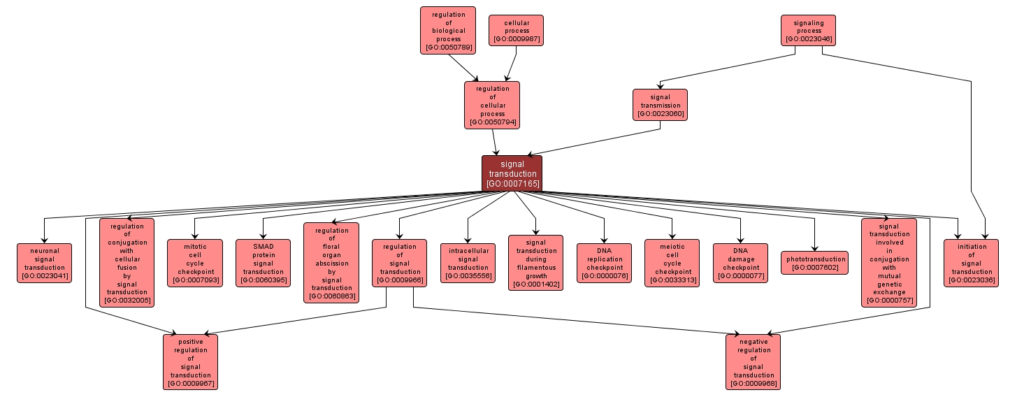 GO:0007165 - signal transduction (interactive image map)