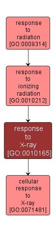 GO:0010165 - response to X-ray (interactive image map)