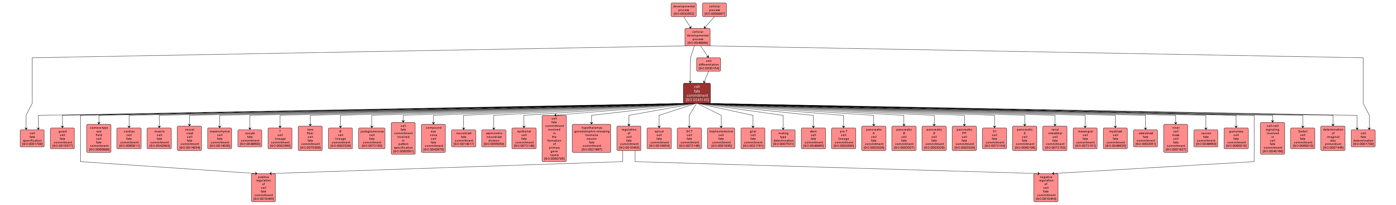 GO:0045165 - cell fate commitment (interactive image map)