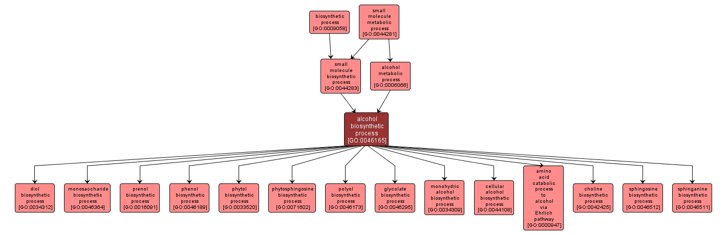 GO:0046165 - alcohol biosynthetic process (interactive image map)