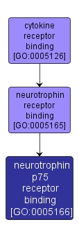 GO:0005166 - neurotrophin p75 receptor binding (interactive image map)