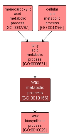 GO:0010166 - wax metabolic process (interactive image map)