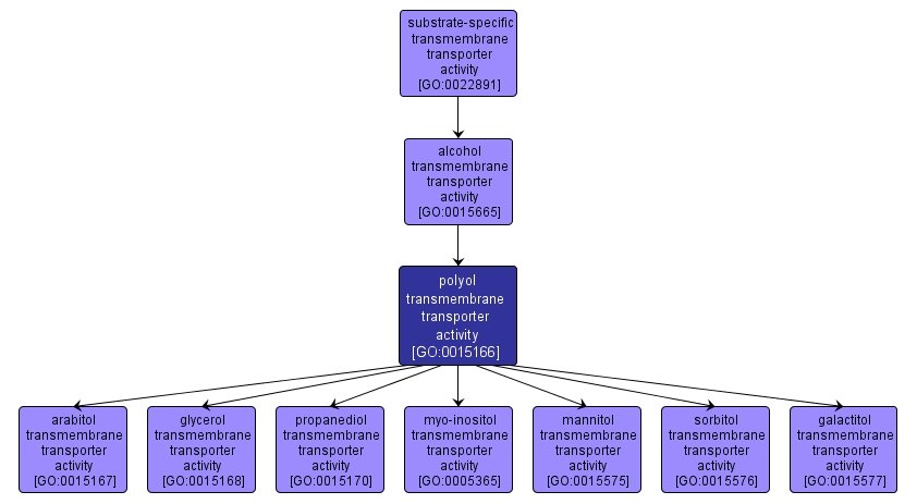 GO:0015166 - polyol transmembrane transporter activity (interactive image map)