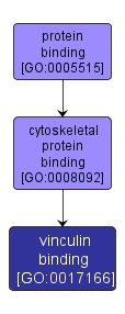 GO:0017166 - vinculin binding (interactive image map)