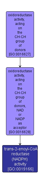 GO:0019166 - trans-2-enoyl-CoA reductase (NADPH) activity (interactive image map)