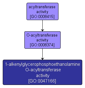 GO:0047166 - 1-alkenylglycerophosphoethanolamine O-acyltransferase activity (interactive image map)