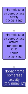 GO:0004167 - dopachrome isomerase activity (interactive image map)