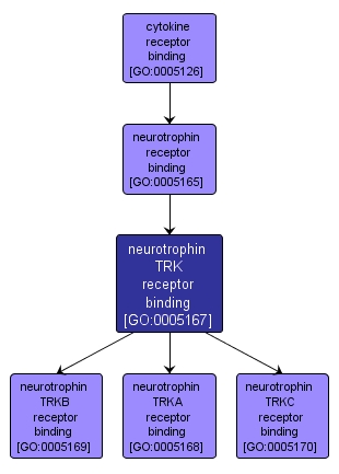 GO:0005167 - neurotrophin TRK receptor binding (interactive image map)