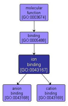 GO:0043167 - ion binding (interactive image map)