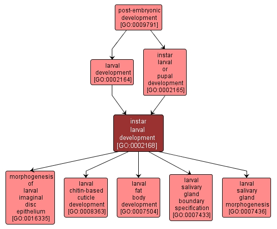 GO:0002168 - instar larval development (interactive image map)
