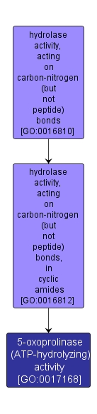 GO:0017168 - 5-oxoprolinase (ATP-hydrolyzing) activity (interactive image map)