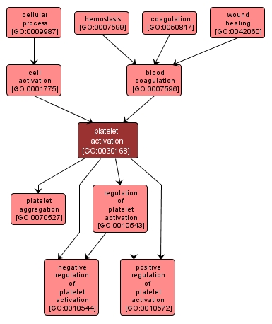 GO:0030168 - platelet activation (interactive image map)