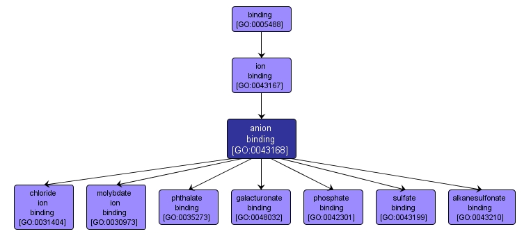 GO:0043168 - anion binding (interactive image map)