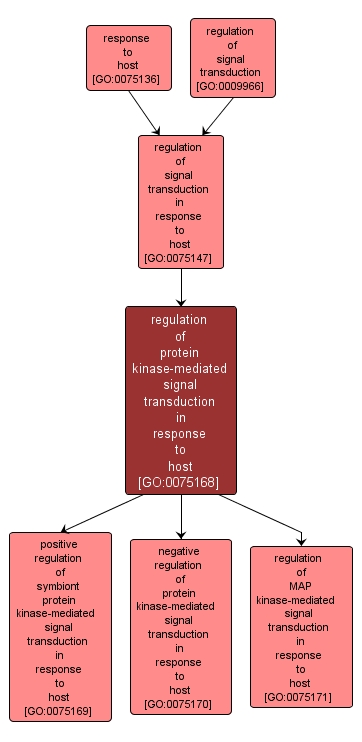 GO:0075168 - regulation of protein kinase-mediated signal transduction in response to host (interactive image map)