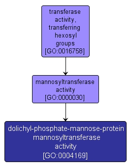 GO:0004169 - dolichyl-phosphate-mannose-protein mannosyltransferase activity (interactive image map)
