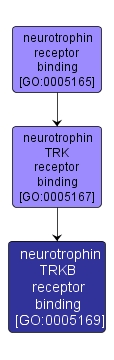 GO:0005169 - neurotrophin TRKB receptor binding (interactive image map)
