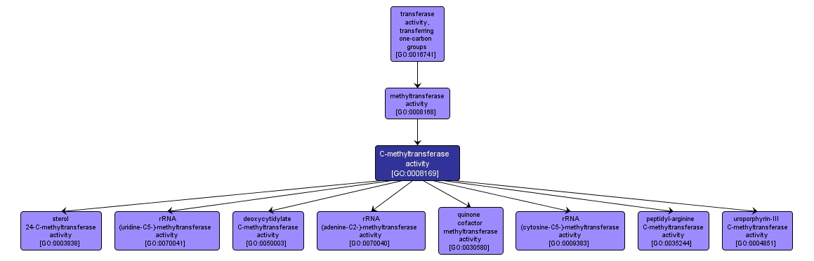 GO:0008169 - C-methyltransferase activity (interactive image map)