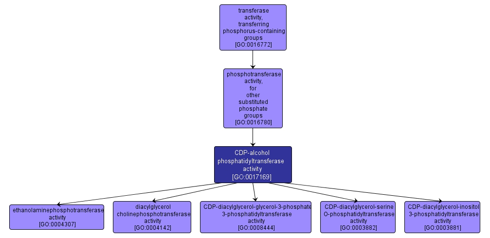 GO:0017169 - CDP-alcohol phosphatidyltransferase activity (interactive image map)