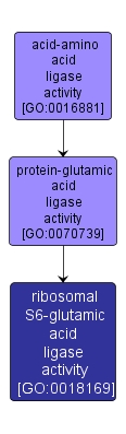 GO:0018169 - ribosomal S6-glutamic acid ligase activity (interactive image map)