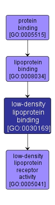 GO:0030169 - low-density lipoprotein binding (interactive image map)