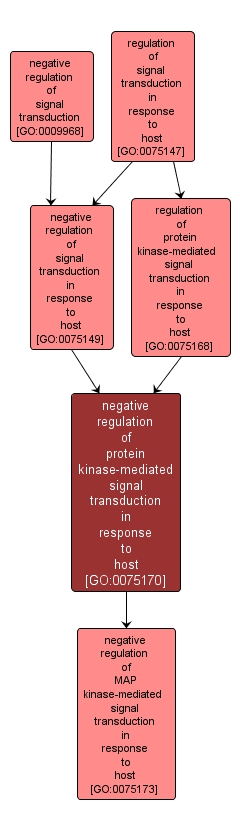 GO:0075170 - negative regulation of protein kinase-mediated signal transduction in response to host (interactive image map)
