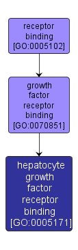 GO:0005171 - hepatocyte growth factor receptor binding (interactive image map)