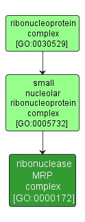 GO:0000172 - ribonuclease MRP complex (interactive image map)