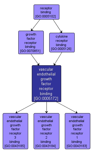 GO:0005172 - vascular endothelial growth factor receptor binding (interactive image map)