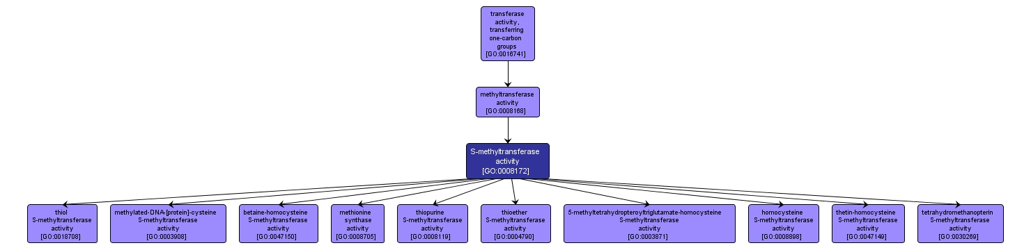 GO:0008172 - S-methyltransferase activity (interactive image map)