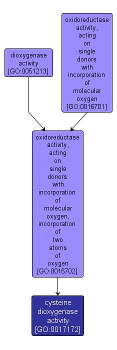 GO:0017172 - cysteine dioxygenase activity (interactive image map)