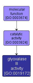 GO:0019172 - glyoxalase III activity (interactive image map)