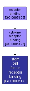 GO:0005173 - stem cell factor receptor binding (interactive image map)
