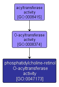 GO:0047173 - phosphatidylcholine-retinol O-acyltransferase activity (interactive image map)
