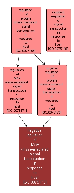 GO:0075173 - negative regulation of MAP kinase-mediated signal transduction in response to host (interactive image map)