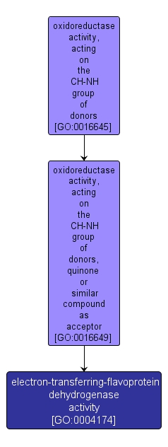 GO:0004174 - electron-transferring-flavoprotein dehydrogenase activity (interactive image map)