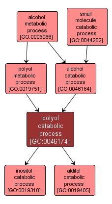 GO:0046174 - polyol catabolic process (interactive image map)