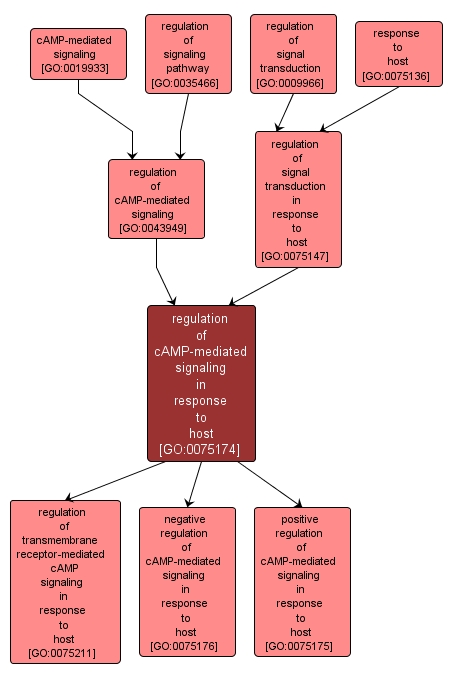 GO:0075174 - regulation of cAMP-mediated signaling in response to host (interactive image map)