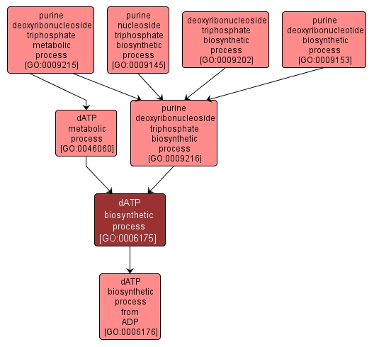 GO:0006175 - dATP biosynthetic process (interactive image map)